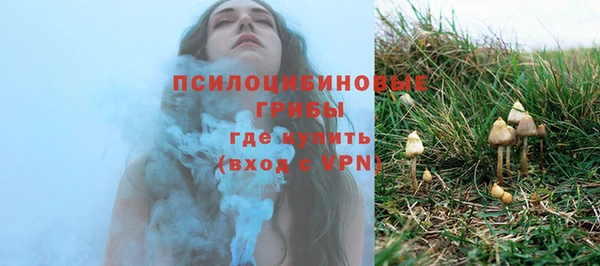 первитин Армянск