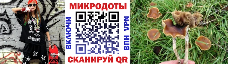 Купить где Гаджиево Галлюциногенные грибы прущие грибы