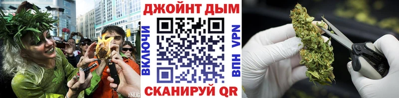 Канабис сатива  Купить где  Гаджиево 