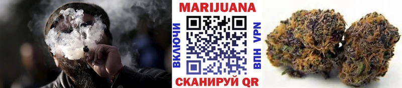Конопля MAZAR Гаджиево